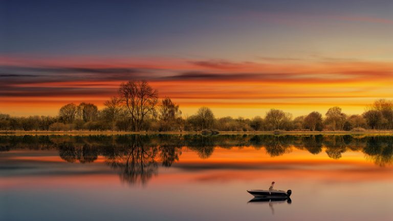 reflection of trees on body of water during sunset