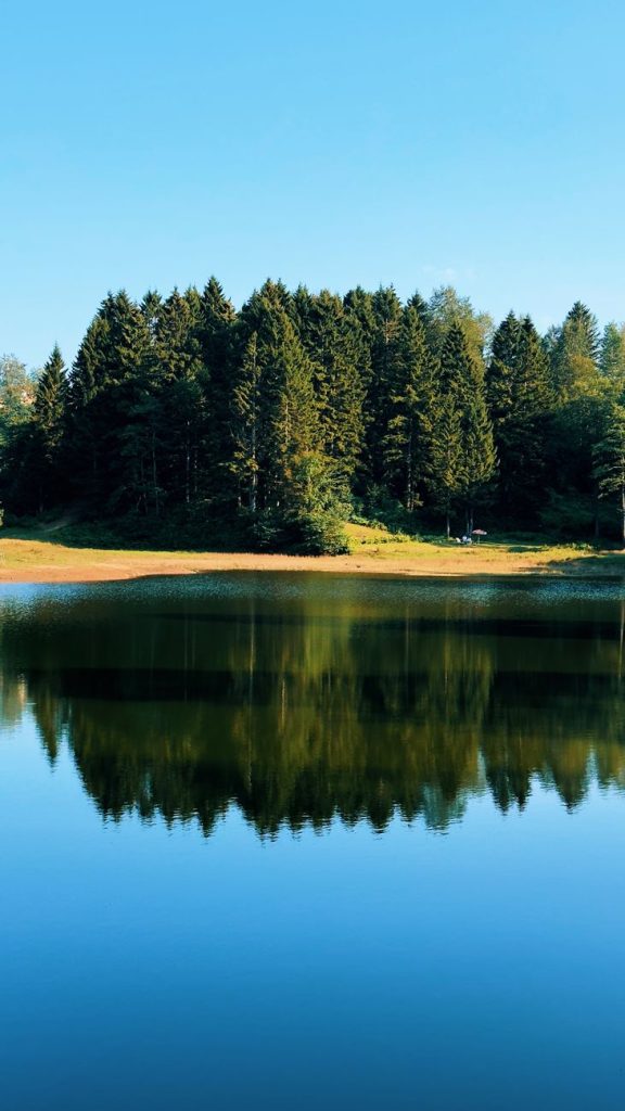 serene forest reflection at giresun lake